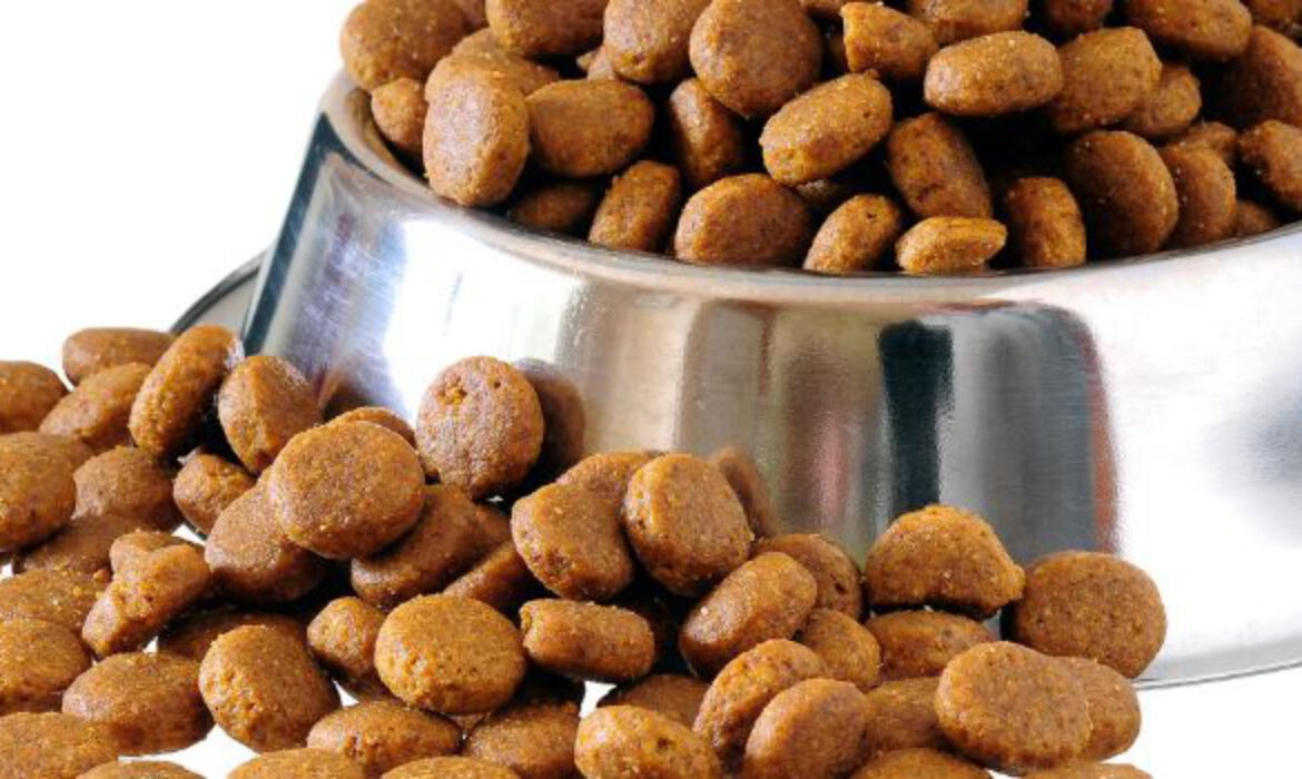 Nutrigenomics in Pet Food