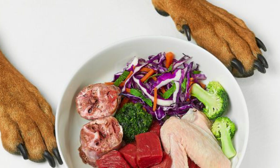 Alternative Protein Sources for Pet Food