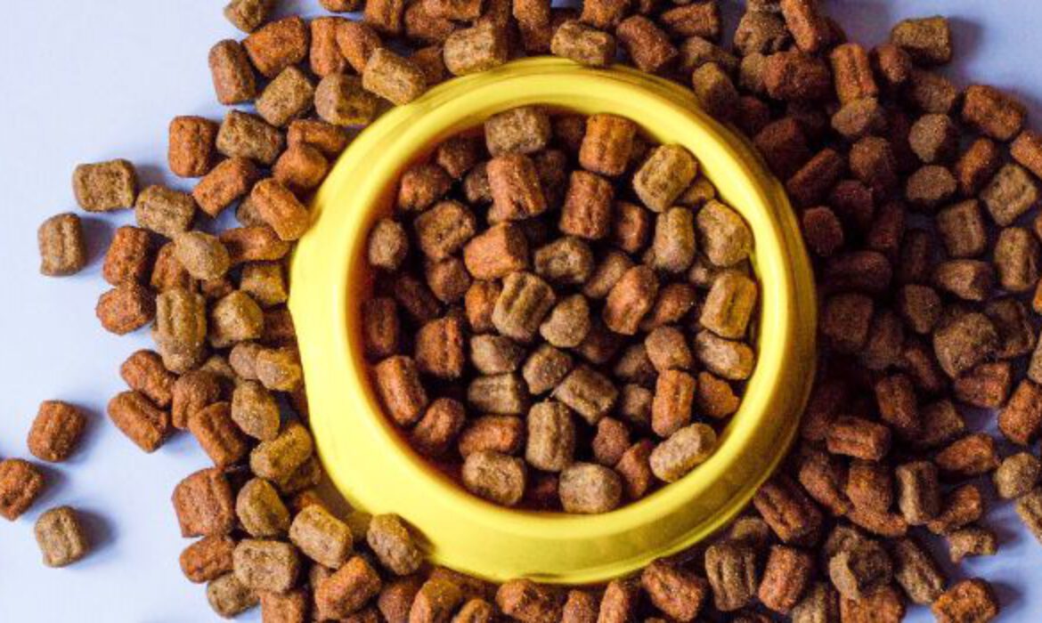 Technology in Improving Pet Food Raw Material Quality