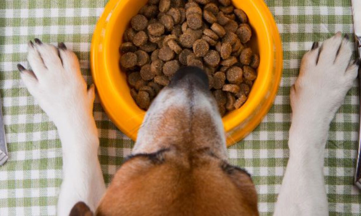 Raw Materials for Making Pet Food