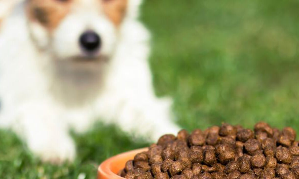 How Dry Pet Food is Made