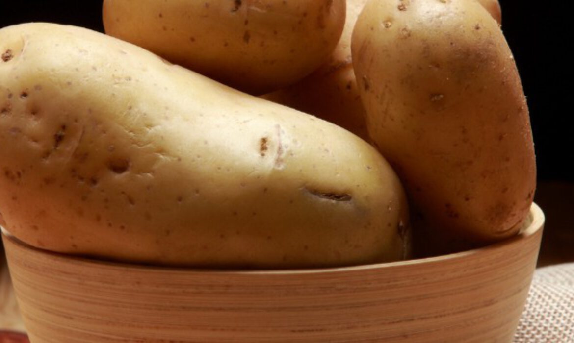 Potato Protein Raw Materials