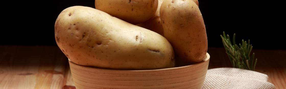 Potato Protein Raw Materials