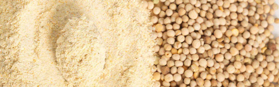 Pea Protein Raw Materials