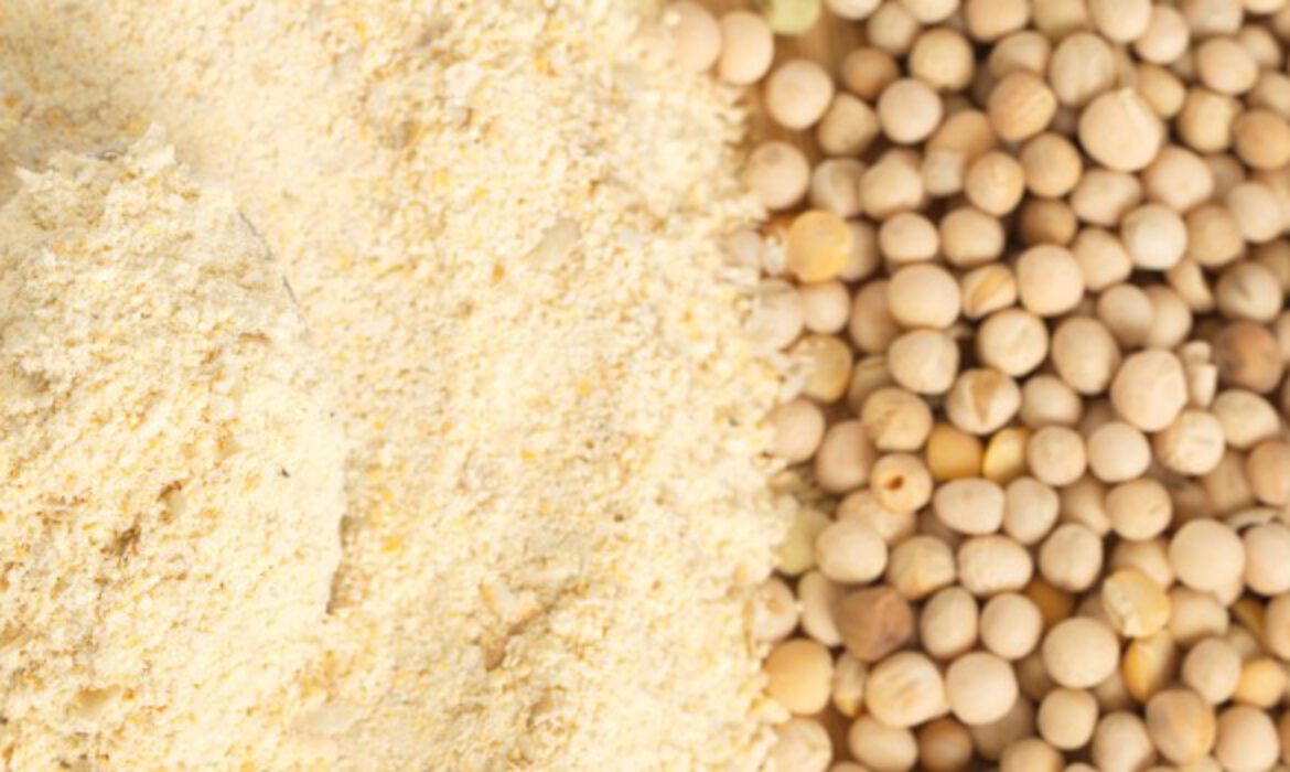 Pea Protein Raw Materials