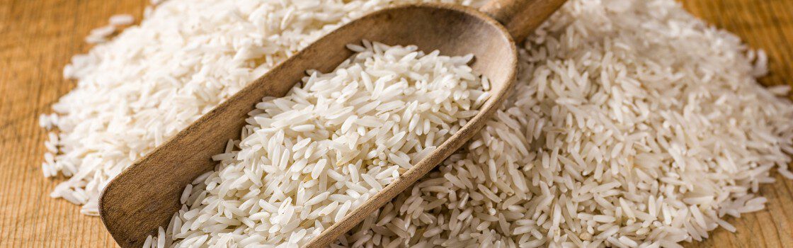 Rice Protein Raw Materials