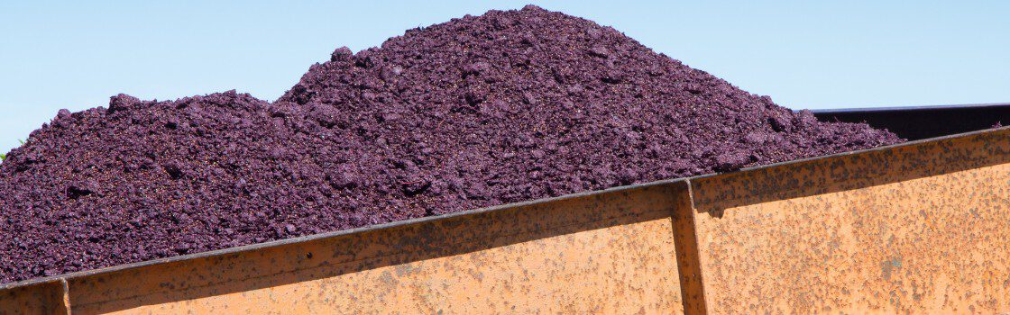 Tomato Pomace Raw Material