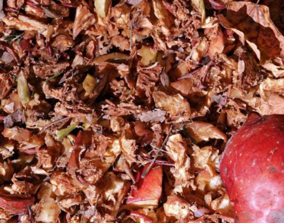 Apple Pomace Raw Materials