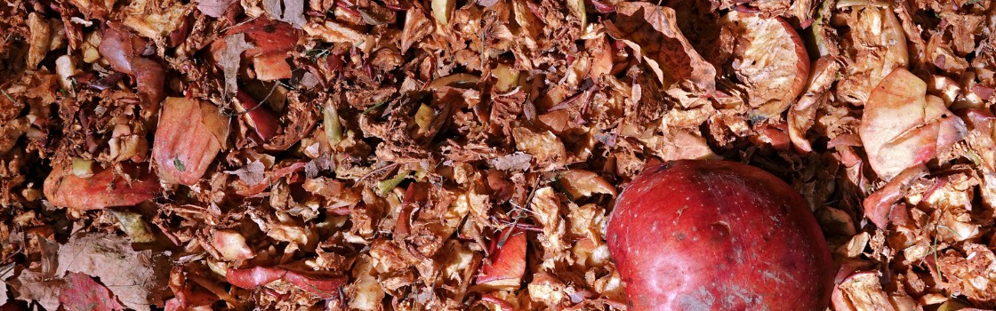 Apple Pomace Raw Materials